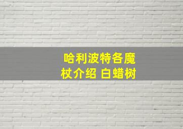 哈利波特各魔杖介绍 白蜡树